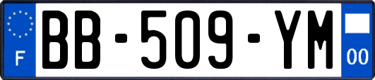 BB-509-YM