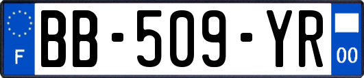 BB-509-YR