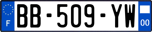 BB-509-YW