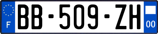 BB-509-ZH