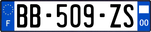 BB-509-ZS