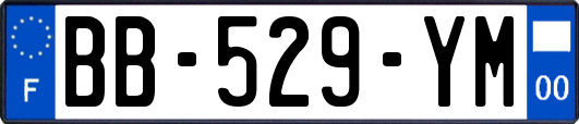 BB-529-YM