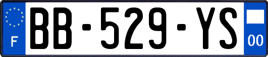 BB-529-YS