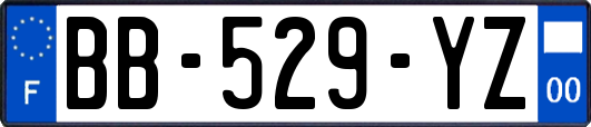 BB-529-YZ