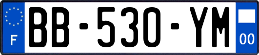 BB-530-YM