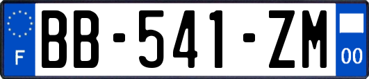 BB-541-ZM