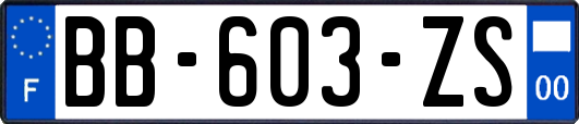 BB-603-ZS