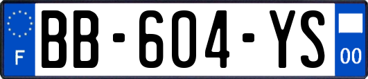 BB-604-YS