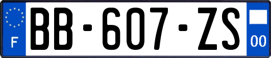 BB-607-ZS