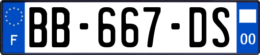 BB-667-DS