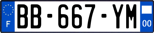 BB-667-YM