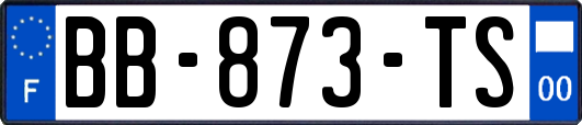 BB-873-TS