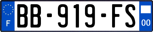 BB-919-FS