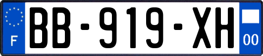 BB-919-XH