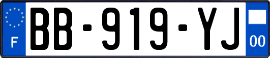 BB-919-YJ