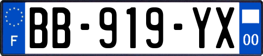 BB-919-YX