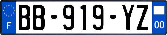 BB-919-YZ