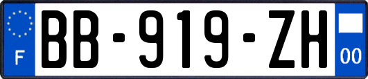 BB-919-ZH