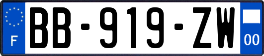 BB-919-ZW