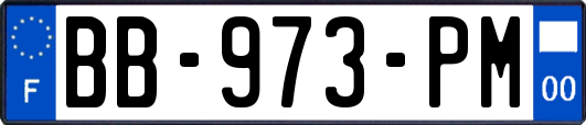 BB-973-PM