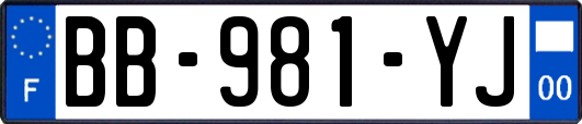 BB-981-YJ