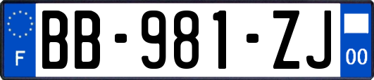 BB-981-ZJ