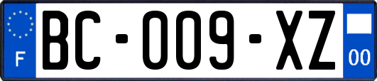 BC-009-XZ