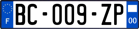 BC-009-ZP