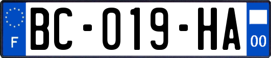 BC-019-HA