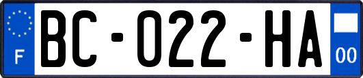 BC-022-HA