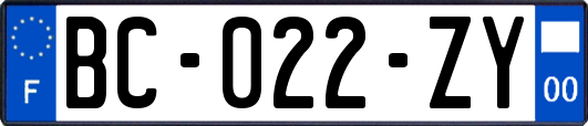 BC-022-ZY