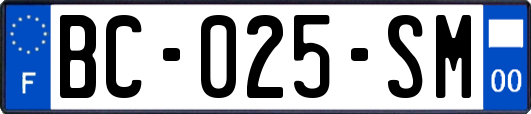 BC-025-SM