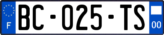 BC-025-TS