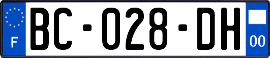 BC-028-DH