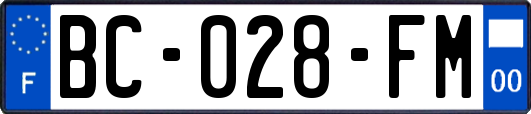 BC-028-FM