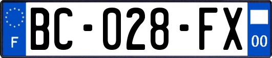 BC-028-FX