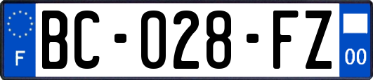 BC-028-FZ