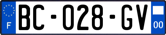 BC-028-GV