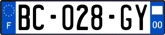 BC-028-GY
