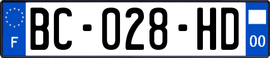 BC-028-HD