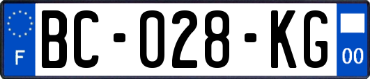 BC-028-KG