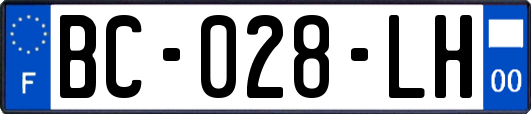 BC-028-LH