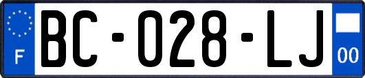 BC-028-LJ