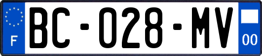 BC-028-MV