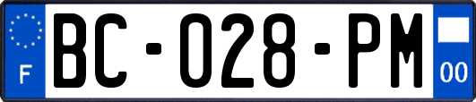BC-028-PM