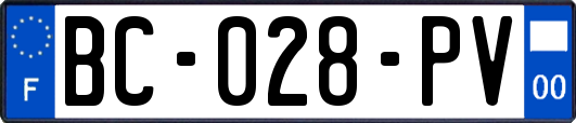 BC-028-PV