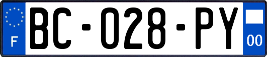BC-028-PY