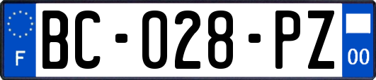 BC-028-PZ