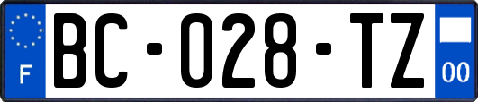 BC-028-TZ