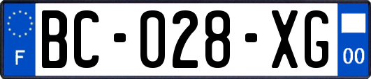 BC-028-XG